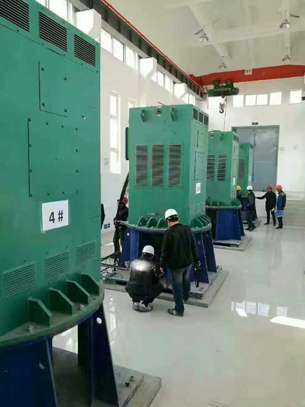 徐州某污水处理厂使用我厂的立式高压电机安装现场